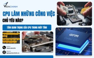CPU Làm Những Công Việc Chủ Yếu Nào