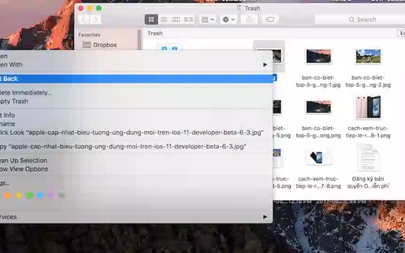 Cách Khôi Phục File Đã Xóa Vĩnh Viễn Trên MacBook