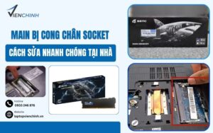 RAM SSTC Có Tốt Không? Tìm Hiểu Thương Hiệu RAM SSTC