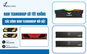 RAM Teamgroup Có Tốt Không? Các Dòng RAM Teamgroup Nổi Bật