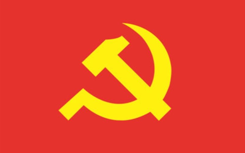 Logo Đảng Vector là gì?